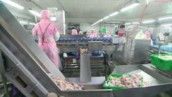 慶云和美食品銷售額突破2億元，產業興旺助力周邊就業改善